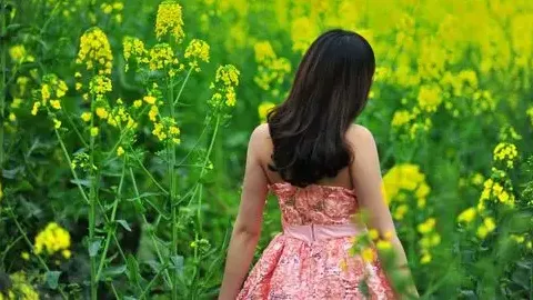 国防部为战争部