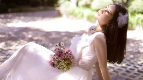 加沙20点计划全文解读