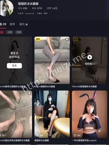 猫猫碎冰冰丝袜