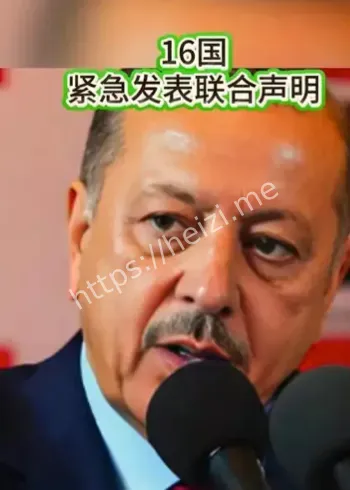 16国外长联合声明